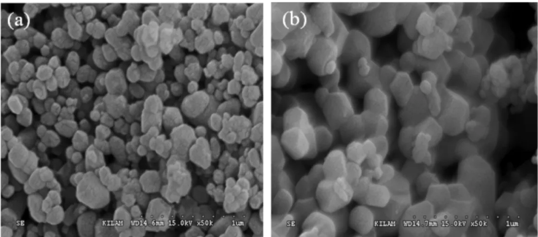 Fig. 13. SEM images of MgO - separated MgO (heating : batch type microwave kiln (950 o C, 60 min)), (a) DS, (b) SB.