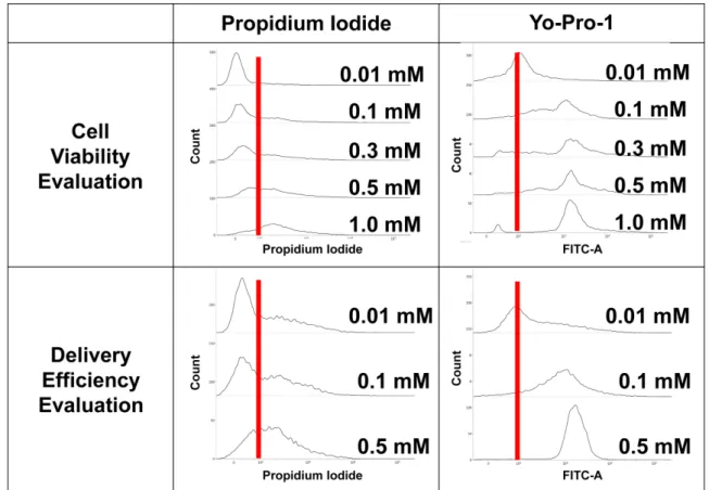 Fig. 4 의 아래쪽 히스토그램이 Propidium Iodide와 Yo-Pro-1을 전달 물질로 하였을 때 전달 효율 평가의 결과이다. 각 결과의 가장 위쪽 히스토그램이 0.01 mM을 사용한 결과이며 아래쪽으로 내려 갈수록 사용한 형광 염료의 농도가 높은 결과이다