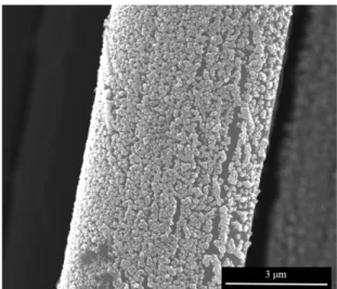 Fig. 1. SEM image of the boron doped diamond layer on carbon fiber.