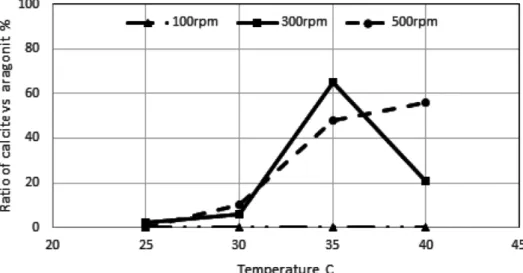 Fig. 7. Ratio of calcite vs aragonite % by temperature at 100 rpm, 300 rpm and 500 rpm in steady-state operations.