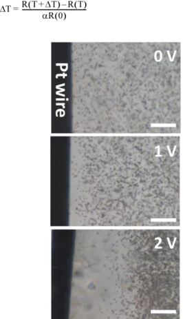 Fig. 4. (a) The measured current through the Pt wire embedded in the microfluidic setup and the calculated resistance