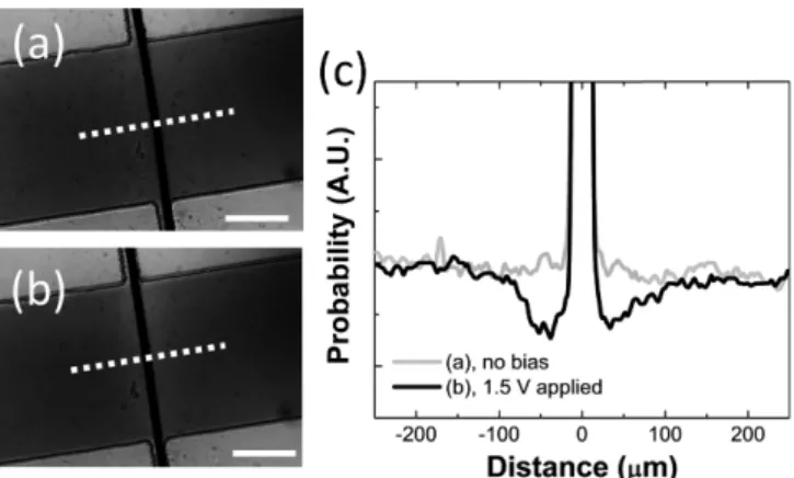 Fig. 6. Flow of latex particle suspension in the microfluidic channel in Fig. 2: (a) before and (b) after 6.5 V bias application to Pt wire for Joule heating