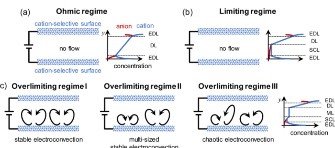 Fig. 1. Schematic diagrams of characteristic flow patterns and ion concentration profiles for (a) Ohmic regime, (b) limiting regime and (c) overlimiting regimes.