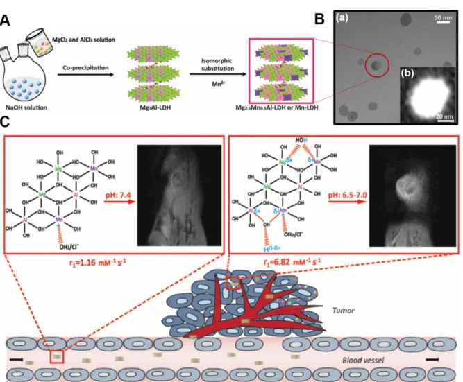Fig. 4. A. Schematic illustration of synthetic procedure, B. (a) TEM image, (b) STEM image, C