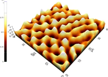 Fig. 5. FM image of the surface of silicone resin fabricated.