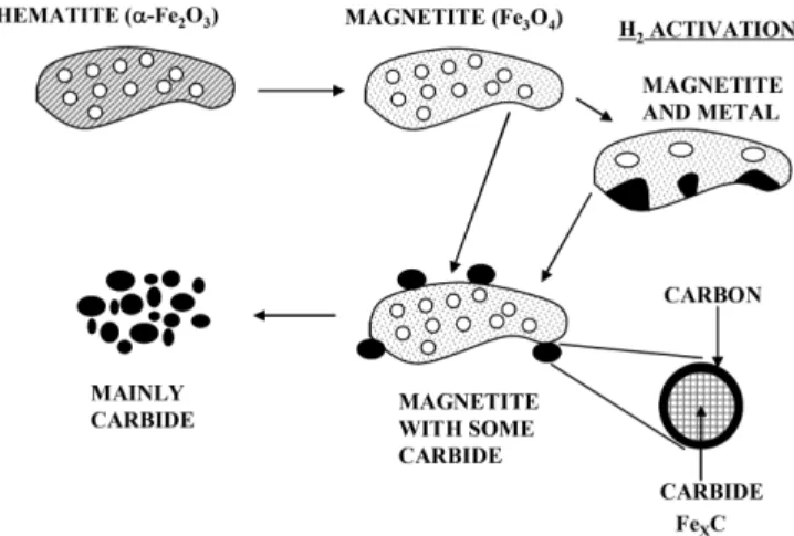 Fig. 3. Schematic representation of the morphological and phase change that occur on the α-Fe 2 O 3  catalyst as a result of activation and reaction conditions [5].