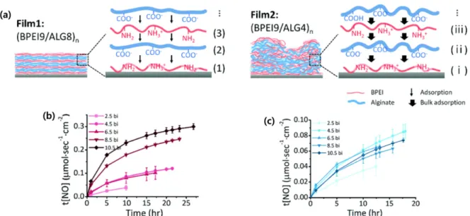 Fig. 8. (a) Total nitric oxide release amount of each film (n=2.5, 6.5, 10.5 bilayers), (b) Nitric oxide release profile of 6.5 bilayer nanofilm.