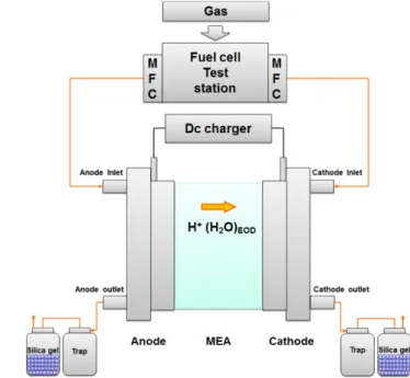 Table 1. Parameter values in simulation