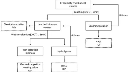 Fig. 1. Schematic diagram of this study.