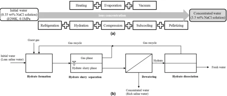 Fig. 1. (a) Schematic representation for the calculation and process for ion concentration; terms in parenthesis describes the energy require- require-ment for the process operation