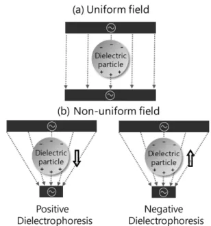 Fig. 2. (a) A particle in a uniform electric field. There is no net movement of the particle