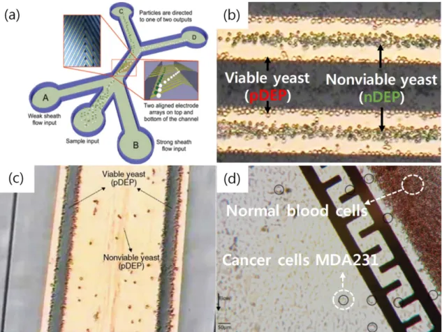 Fig. 7. Experiments utilizing interdigitated electrode design. (a) 3D continuous separation system based on chevron-shaped interdigitated electrode (Source: Modified figure adapted from reference-25)