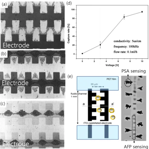 Fig. 9. Three distinctive patterns of yeast cell aggregation depending on the conductivity of the medium and the frequency of the applied AC voltage