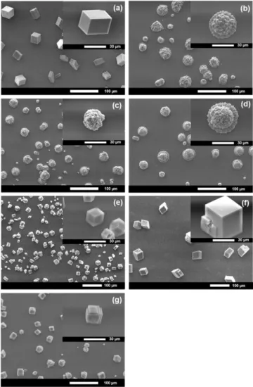 Fig. 2. Scanning electron microscope (SEM) images of CaCO 3  pre- pre-cipitates obtained at 20 ºC and 1 atm aftera 20 h incubation using 10 mM CaCl 2  solution and (NH 4 ) 2 CO 3  vapor with no GRP_BA (a), 250 µg/mL GRP_BA (b), 500 µg/mL GRP_BA (c), 750 µg