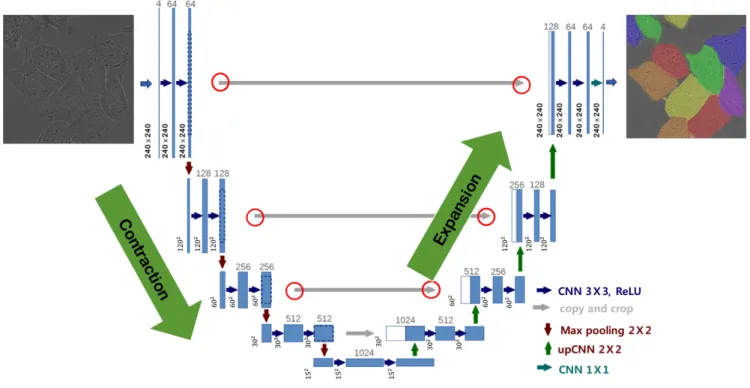 Fig. 1. U-Net architecture [5].