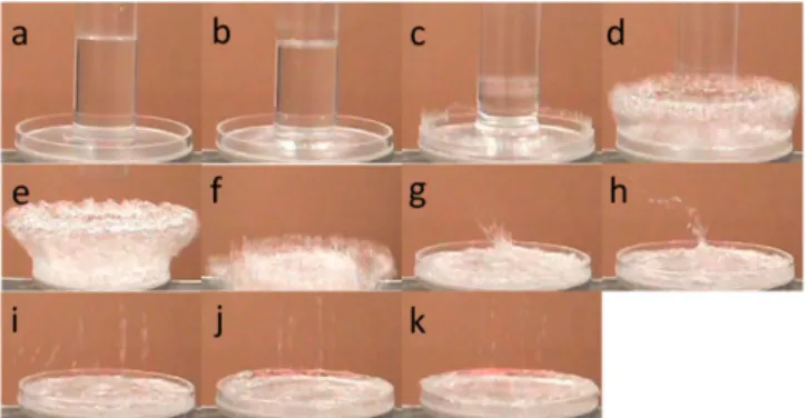 Fig. 3. Schematic of the experimental setup for overtopping tests cour- cour-tesy copied from Zhang et al
