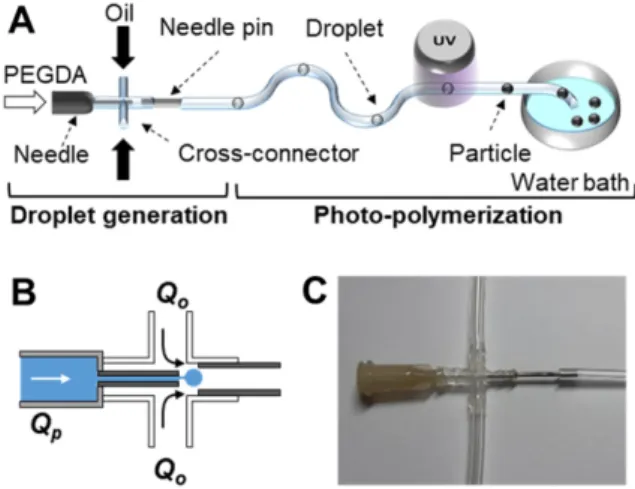 Fig. 1. The dispensing needle based microfluidic device for generation of monodisperse PEGDA particle