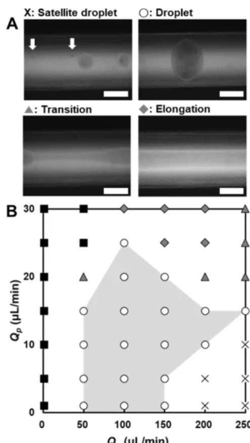 Fig. 2. The flow patterns of PEGDA prepolymer in a dispensing nee- nee-dle based microfluidic device