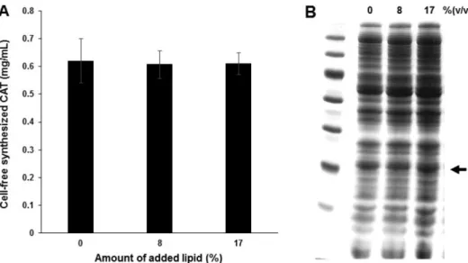 Fig. 3. Effects of additional lipids on the productivity of cell-free protein synthesis using glucose for ATP regeneration