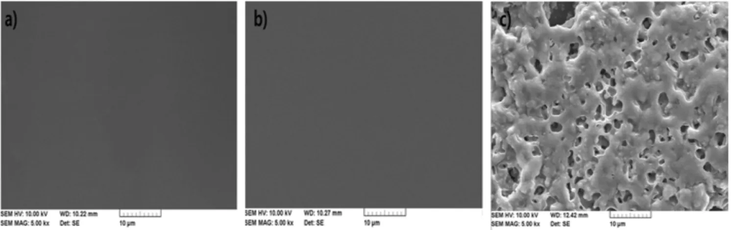 Fig. 12. Photographs of water repellent coating solutions prepared with different molar ratios of MeOH/TEOS