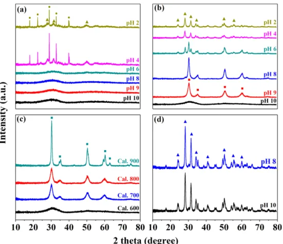 Fig. 2. XRD patterns of dried hydrous and calcined zirconia prepared with different pH condition by precipitation method; (a) Dried at 60 o C for 6 h, (b) calcined at 600 o C for 6 h (c) varied calcination temperature in the range of 600-900 o C for zircon