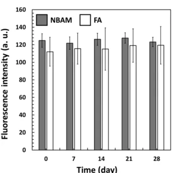 Fig. 5. Long-term fluorescence stability of bi-compartmental particles containing fluorescein o-acrylate (FA) and nile blue acrylamide (NBAM).