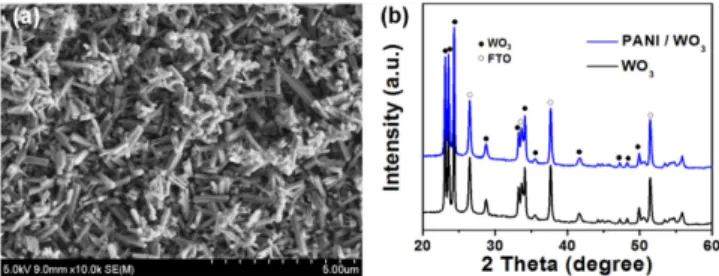 Fig. 1. (a) SEM image of prepared WO 3  electrode. (b) X-ray diffrac- diffrac-tion (XRD) patterns of PANI/WO 3  (passed charge (Q) = 1 mAh) and WO 3  electrode
