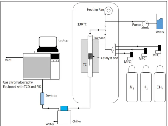 Fig. 1. Experimental apparatus for catalytic activity tests.