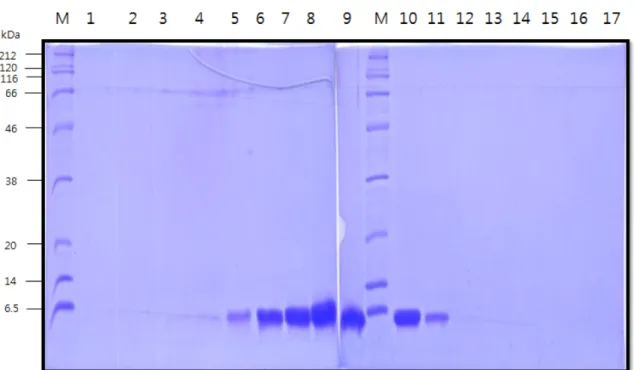 Fig. 8. HPLC chromatogram of final hEGF.