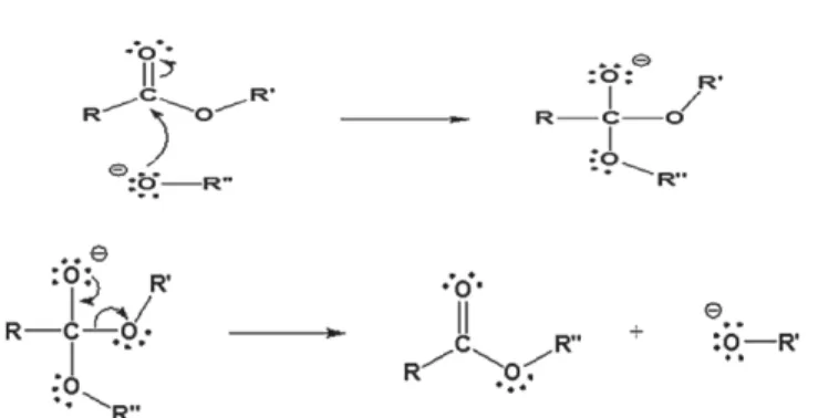 Fig. 2. Microwave reactor design for in-situ transesterification.