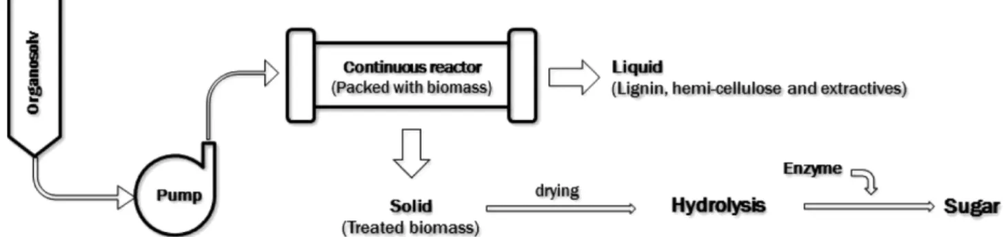Fig. 1. Schematic diagram of flow-through pretreatment.