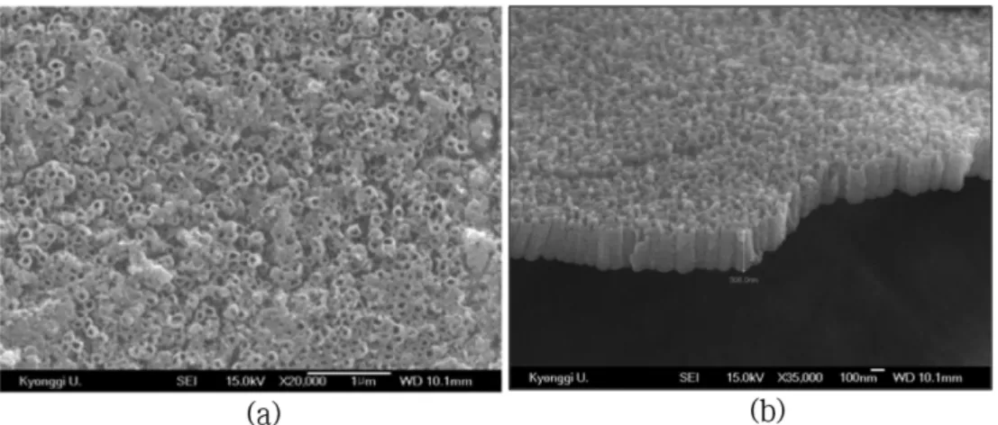 Fig. 3 은 수용액에 0.5 M Na 2 SO 4 , 0.2 M sodium citrate, 0.5 wt%