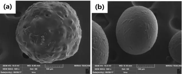Fig. 9. SEM images of PLLA microspheres prepared with different solvents in Table 1; (a) S1 and (b) S11.