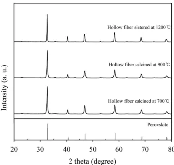 Fig. 5. Porosity change of hollow fiber type catalyst according to sintering temperature and spinning conditions (SEM).