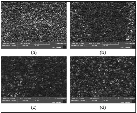 Fig. 3. SEM image of membrane surface (×1000 magnified): (a) EVA 1159/IER (3:7), (b) EVA 1157/IER (3:7), (c) EVA 1828/IER (3:7), (d) EVA 2815/IER (3:7).