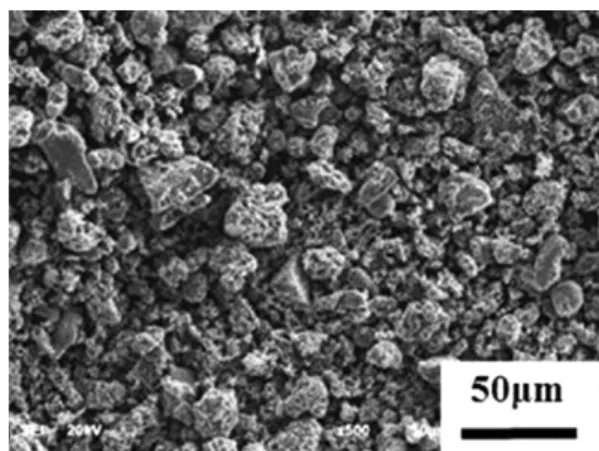 Fig. 1. SEM photograph showing the shape of starting materials employed in the current study (Copper powder).