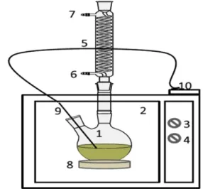 Fig. 1. Schematic apparatus for transesterification process assisted by microwave.