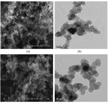 Fig. 1. (a) SEM and (b) TEM images of Model PM: (c) SEM and (d) TEM images of FBC Model PM.