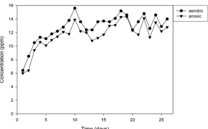 Fig. 7. Time-evolution of total dissolved ammonia-nitrogen in the aqueous phase of aerobic and anoxic humidifier (complex feed).