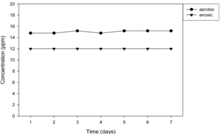 Fig. 11. Time-evolution of NO 3 -  concentration in the aqueous phase of aerobic and anoxic humidifier (ammonia-containing feed)