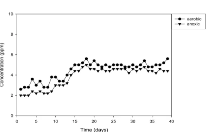 Fig. 14. Time-evolution of NO 3 -  concentration in the aqueous phase of aerobic and anoxic humidifier of which the medium contains glucose instead of yeast extract (ammonia-containing feed).