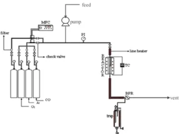 Fig. 2. Schematic diagram of continuous fixed-bed reactor set-up for carbamate synthesis.