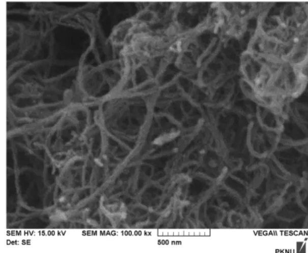 Fig. 1. SEM image of CNTs.