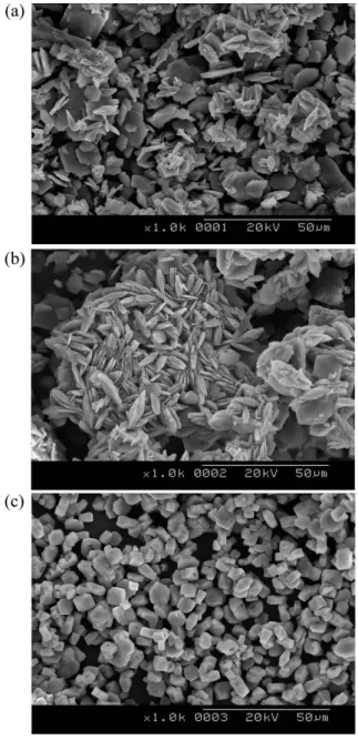 Fig. 6. SEM of oxalate particles precipitated from TBP solution (a) 0.1 M, (b) 0.5 M, (c) 1.0 M of oxalic acids
