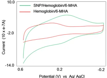 Fig. 2. AFM images of (a) Hemoglobin self-assembled on 6-MHA layer, (b) Silver nanoparticle/Hemoglobin self-assembled on 6-MHA layer, (c) Surface roughness analysis of each biofilm.