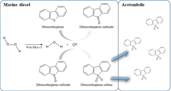 Fig. 1. Scheme for oxidative desulfurization of dibenzothiophene in marine diesel.