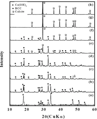 Fig. 6. Scalenohedral PCC particle size at different Ca(OH) 2  con- con-centrations (a) 0.01 M, (b) 0.02 M, (c) 0.03 M, (d) 0.04 M, (e) 0.05 M, (f) 0.1 M, and (g) 0.2 M.