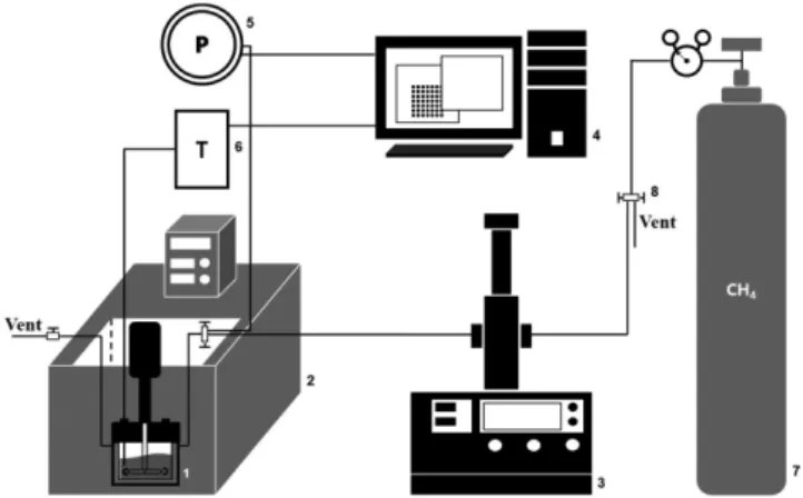 Fig. 2. Pressure-temperature trace of (a) binary 3-OH THF (5.56 mol%) + CH 4  system and (b) tertiary 3-OH THF (5.06 mol%) + THF (0.5 mol%) + CH 4  system (Formation process, ○;