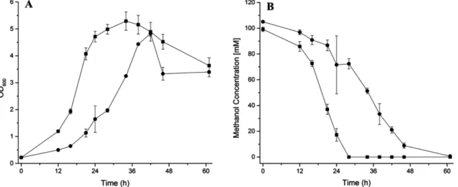 Fig. 5. Comparison of (A) optical density(600nm), (B) methanol consumption of M. extorquens AM1 wild type (squares, n=3), M