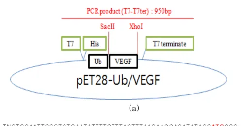 Table 1. Media composition used in 20L-scale fermentation